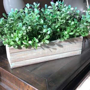 Boxwood Planters Set of 2